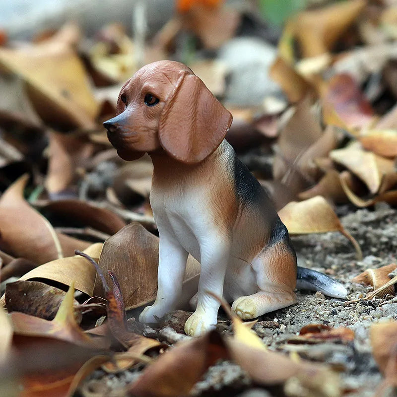 The Canine Couture Collection