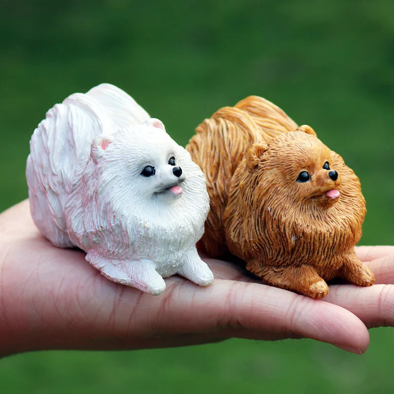 The Canine Couture Collection