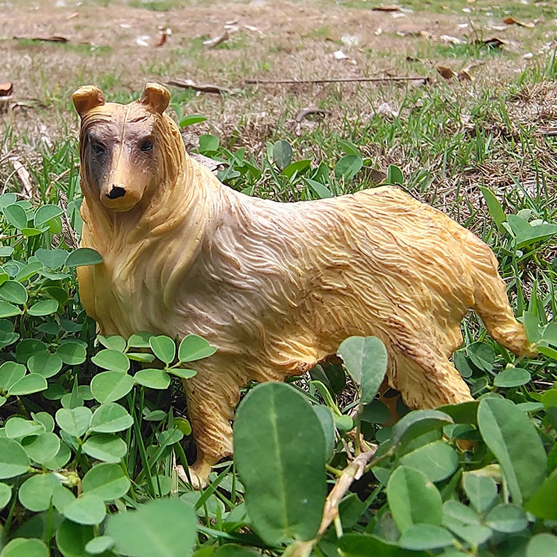 The Canine Couture Collection