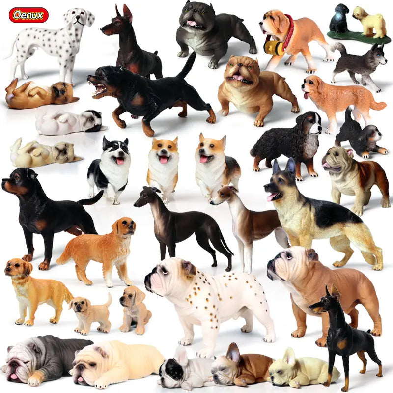 The Canine Couture Collection