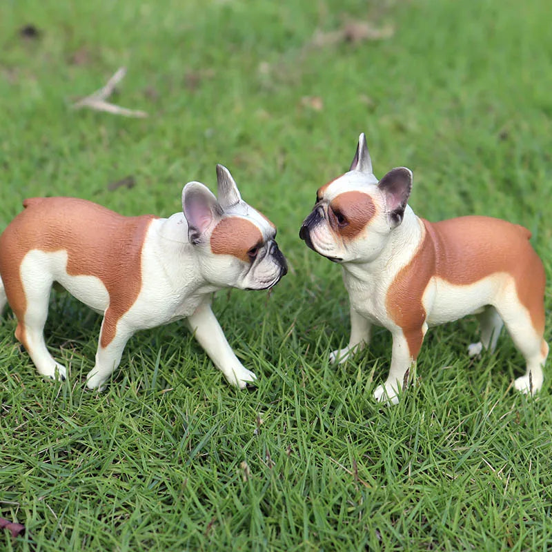 The Canine Couture Collection