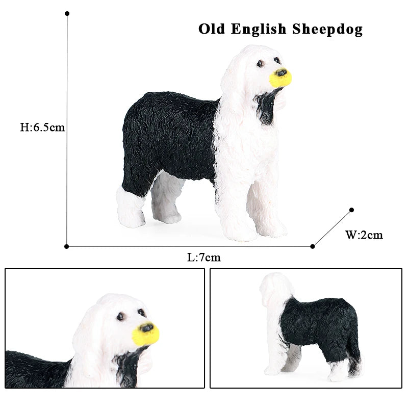 The Canine Couture Collection