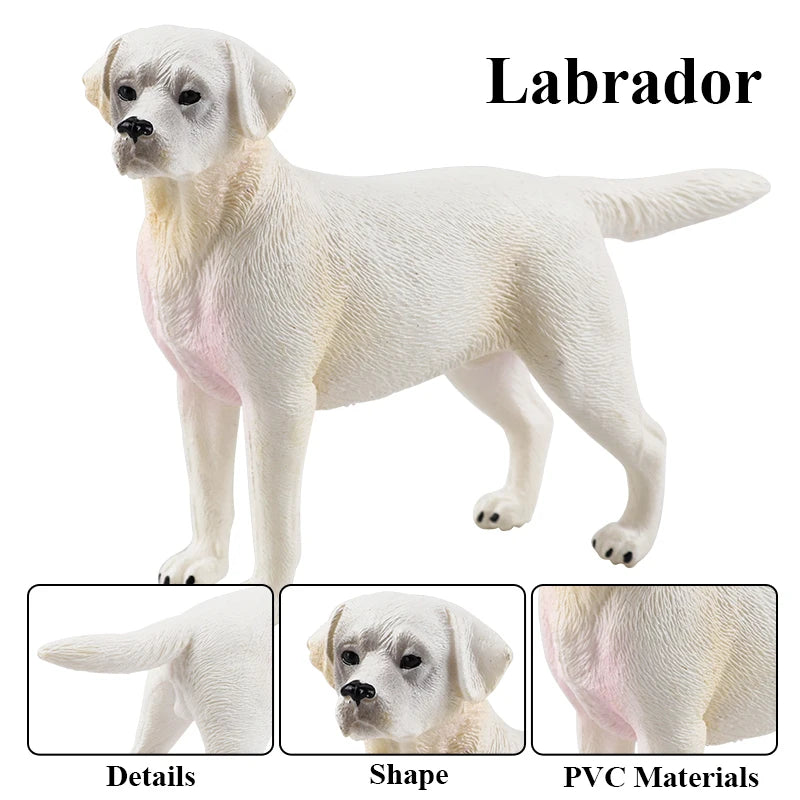 The Canine Couture Collection