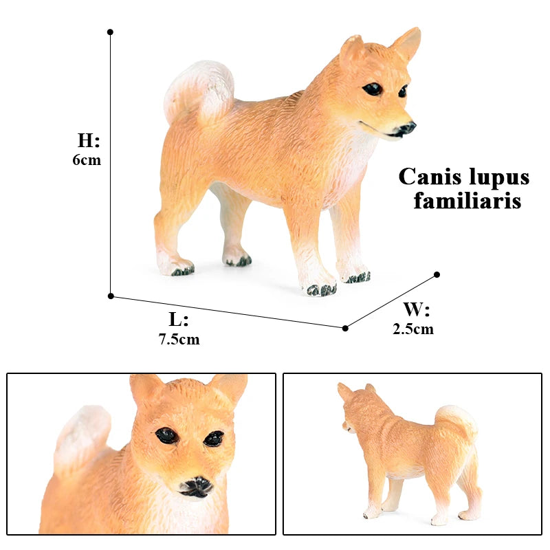 The Canine Couture Collection
