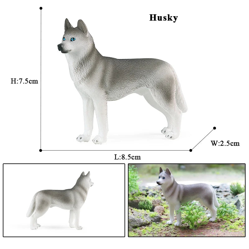 The Canine Couture Collection