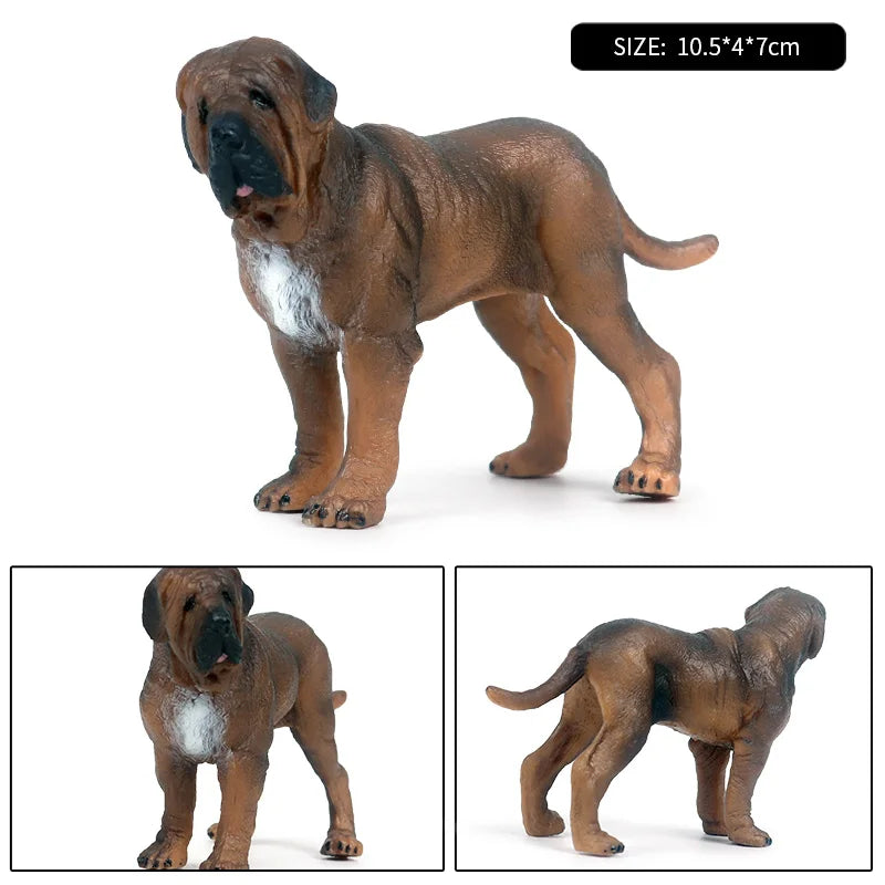 The Canine Couture Collection