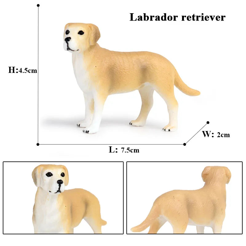 The Canine Couture Collection