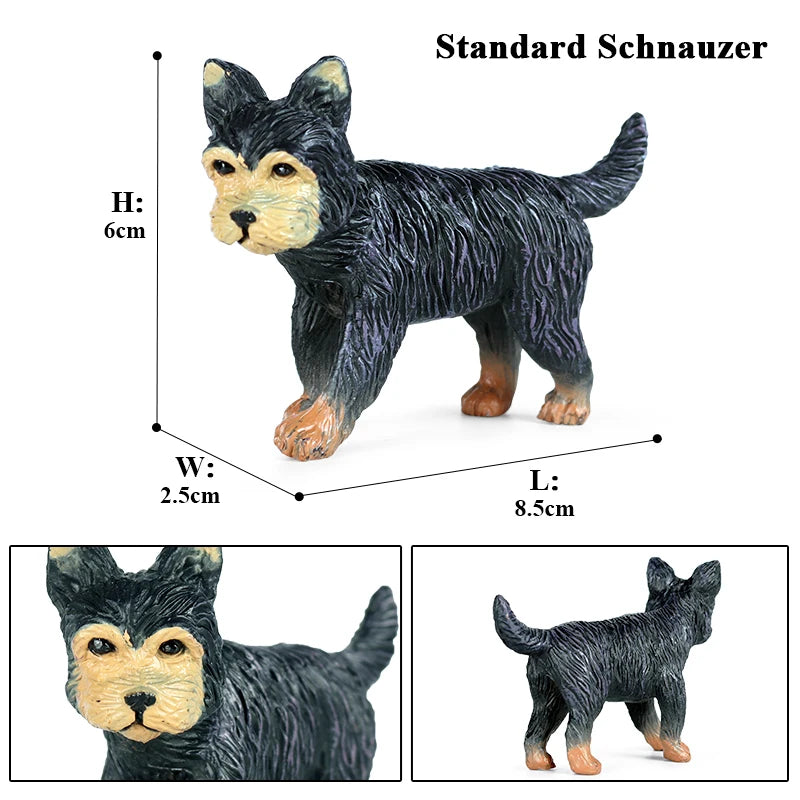 The Canine Couture Collection