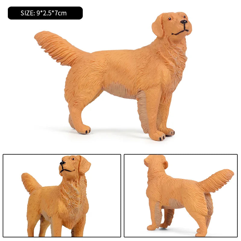 The Canine Couture Collection