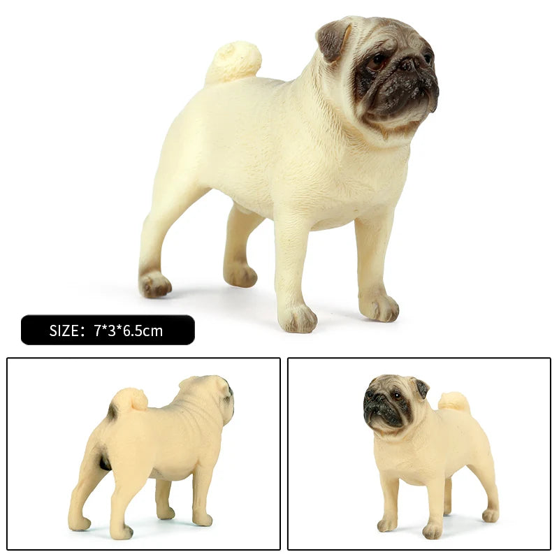 The Canine Couture Collection