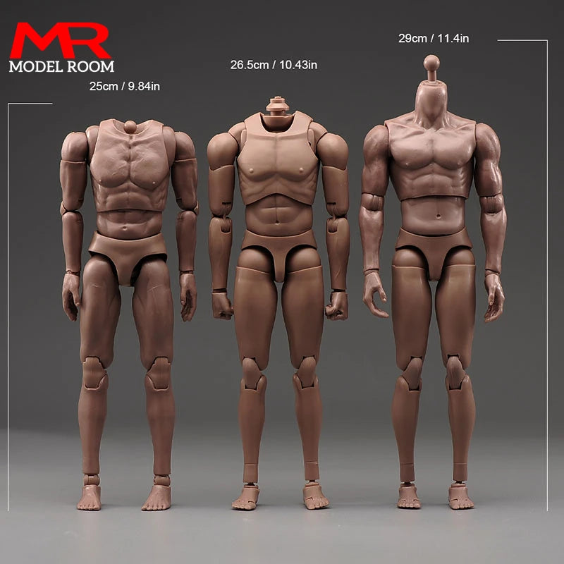 1/6 Male Normal Muscle Joint Body 12'' Flexible Body