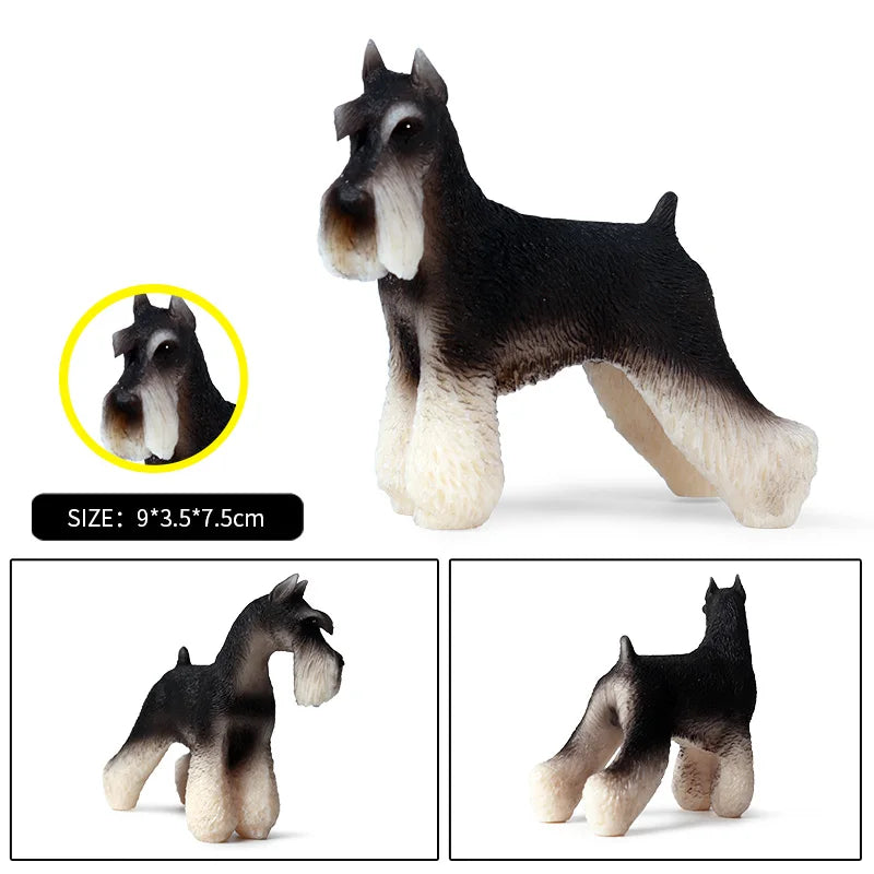 The Canine Couture Collection