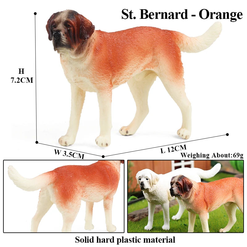 The Canine Couture Collection