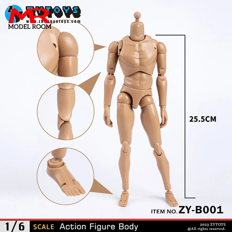 1/6 Joint Body 25.5cm Male Flexible