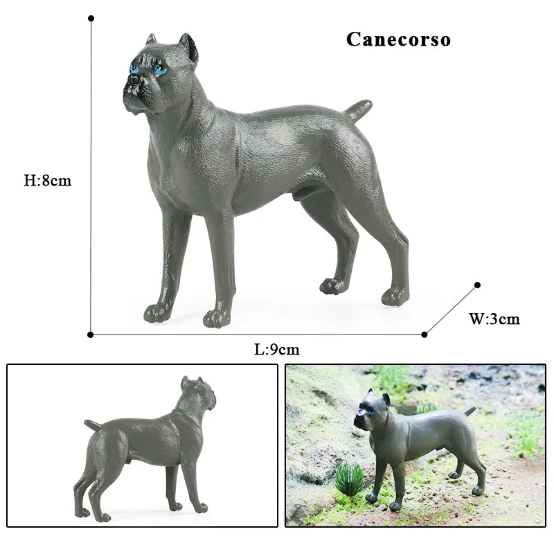 The Canine Couture Collection