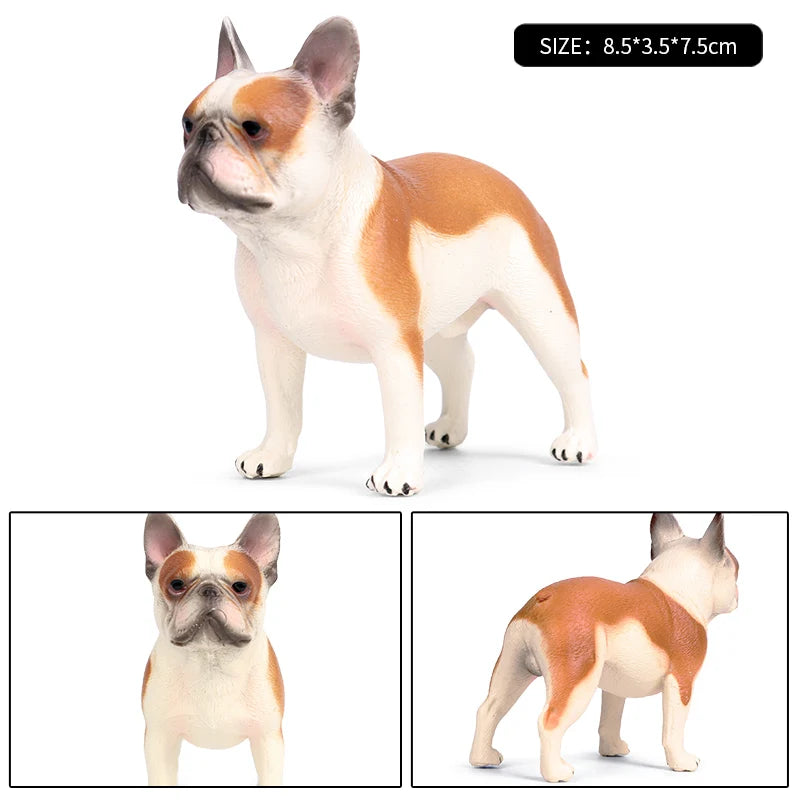 The Canine Couture Collection
