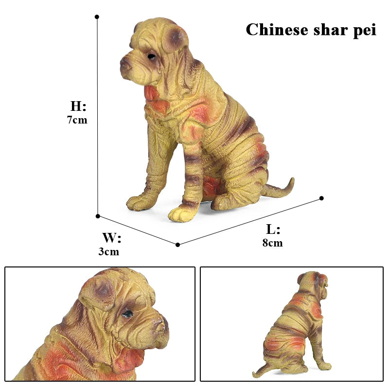 The Canine Couture Collection
