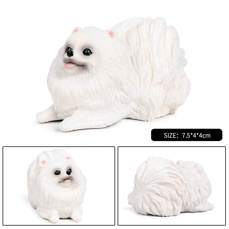 The Canine Couture Collection