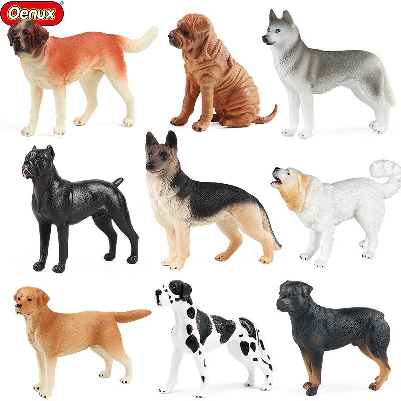 The Canine Couture Collection