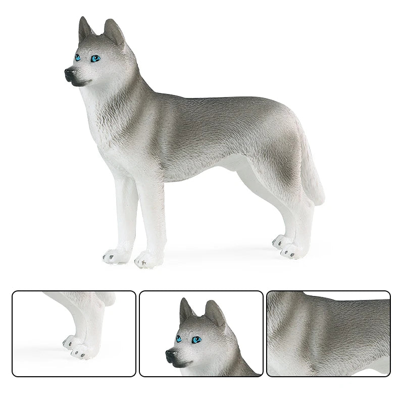 The Canine Couture Collection