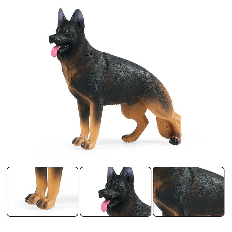 The Canine Couture Collection