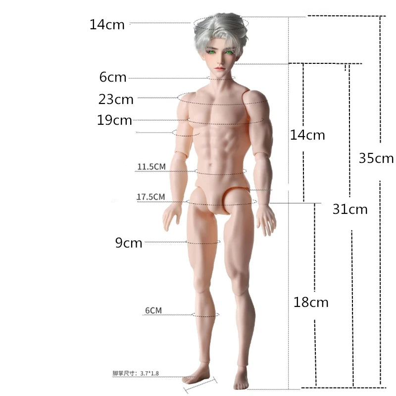 31cm Height Male Body 1/6 MJD Body Normal & Tan Skin Strong Man