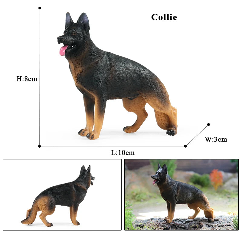 The Canine Couture Collection