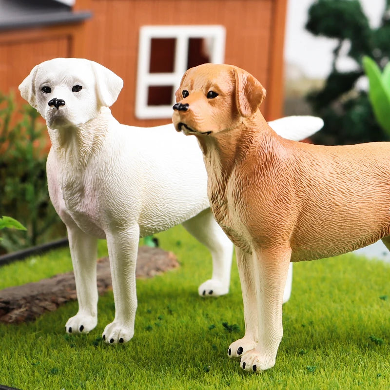The Canine Couture Collection