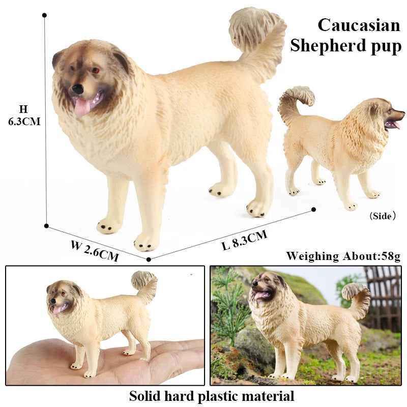 The Canine Couture Collection