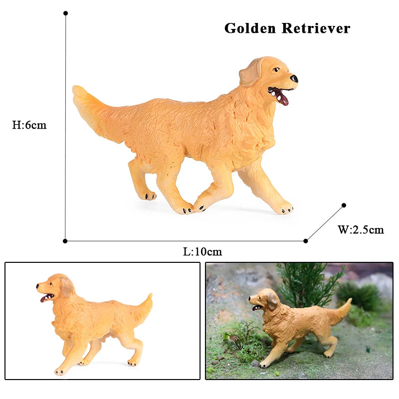The Canine Couture Collection