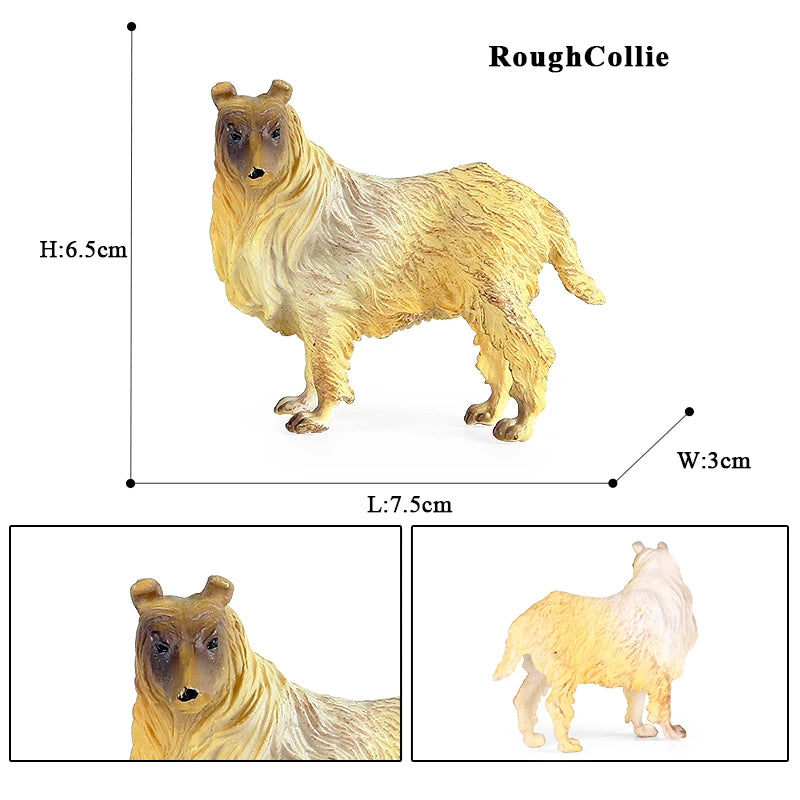 The Canine Couture Collection