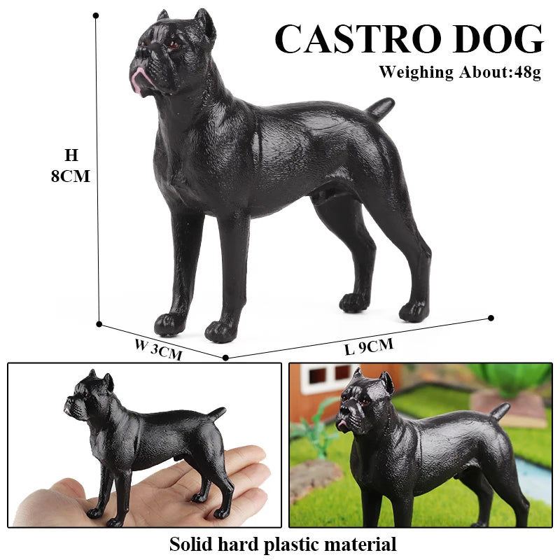 The Canine Couture Collection