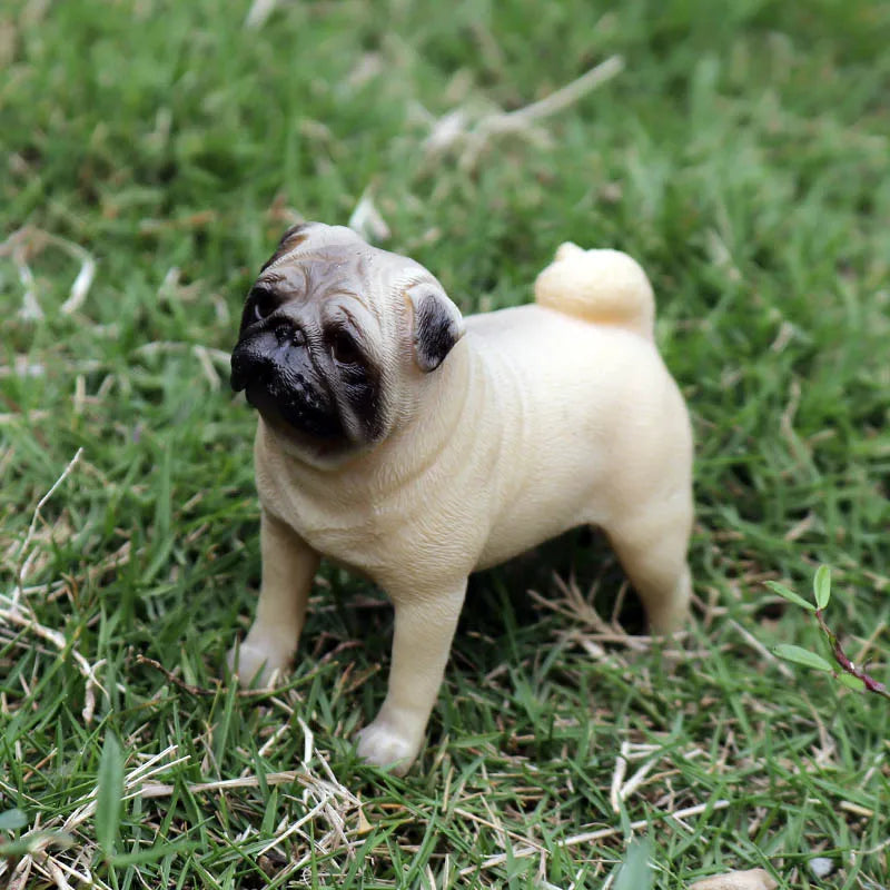 The Canine Couture Collection