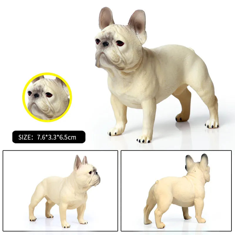 The Canine Couture Collection