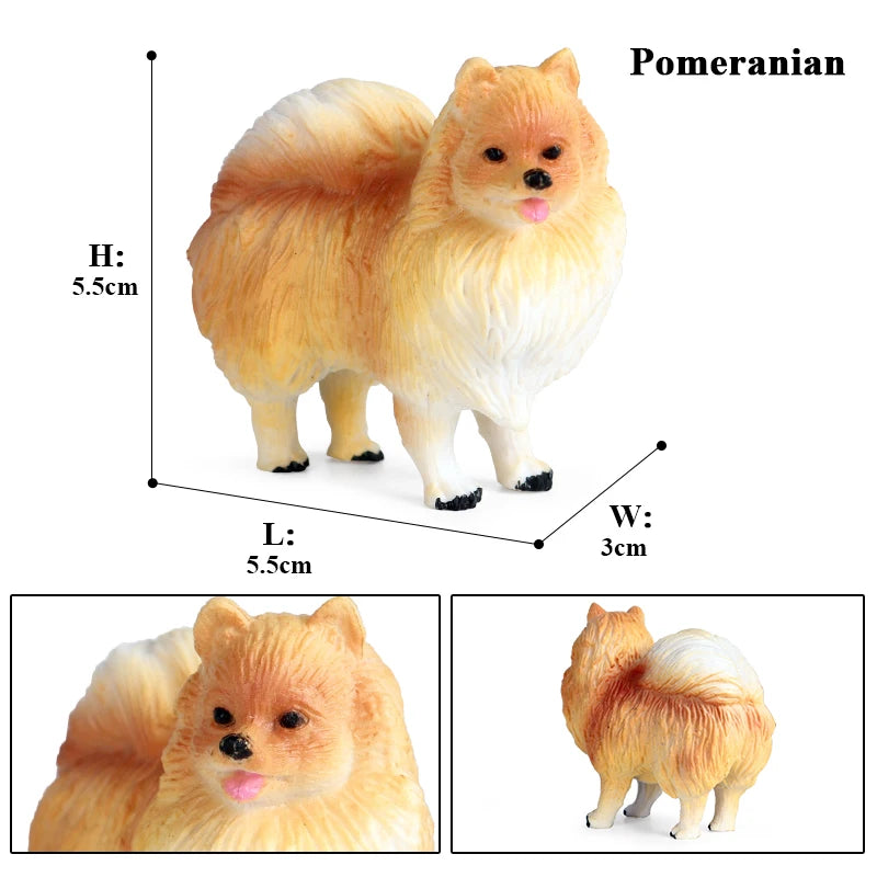 The Canine Couture Collection