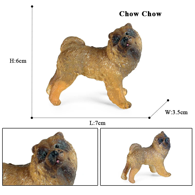 The Canine Couture Collection