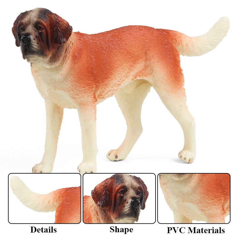 The Canine Couture Collection