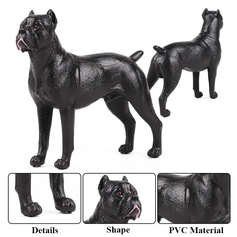 The Canine Couture Collection