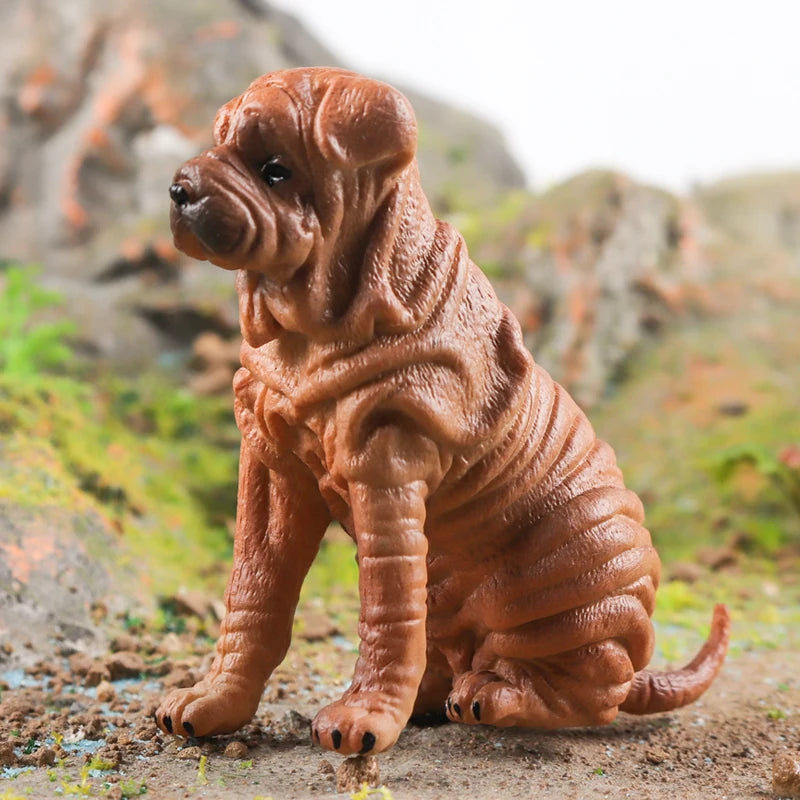 The Canine Couture Collection