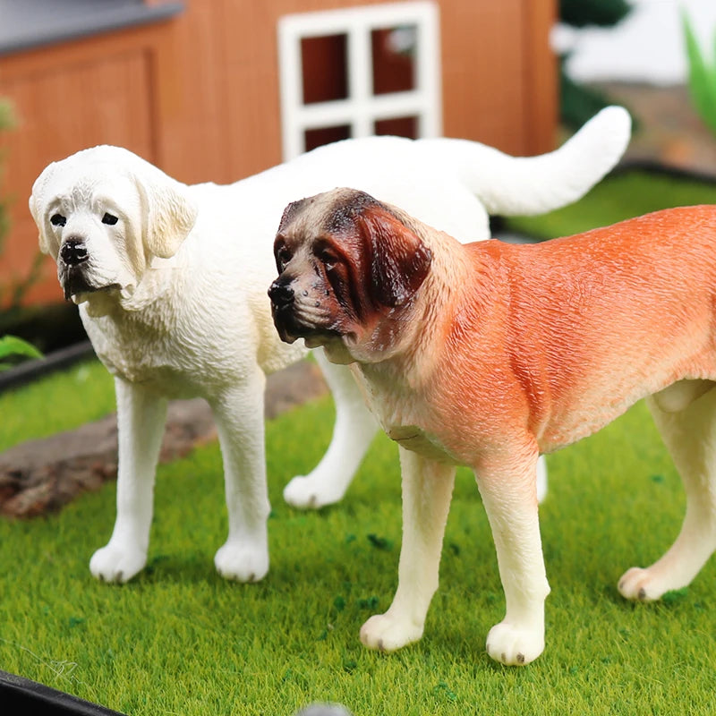 The Canine Couture Collection