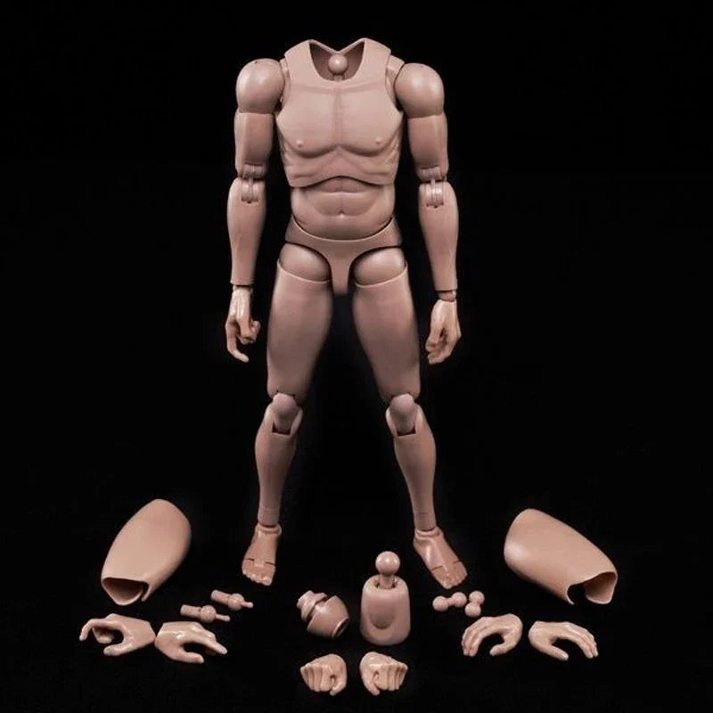 1/6  Europe Skin Male Action Figure Doll 12'' Super Flexible Joint Body - Shop owners choice
