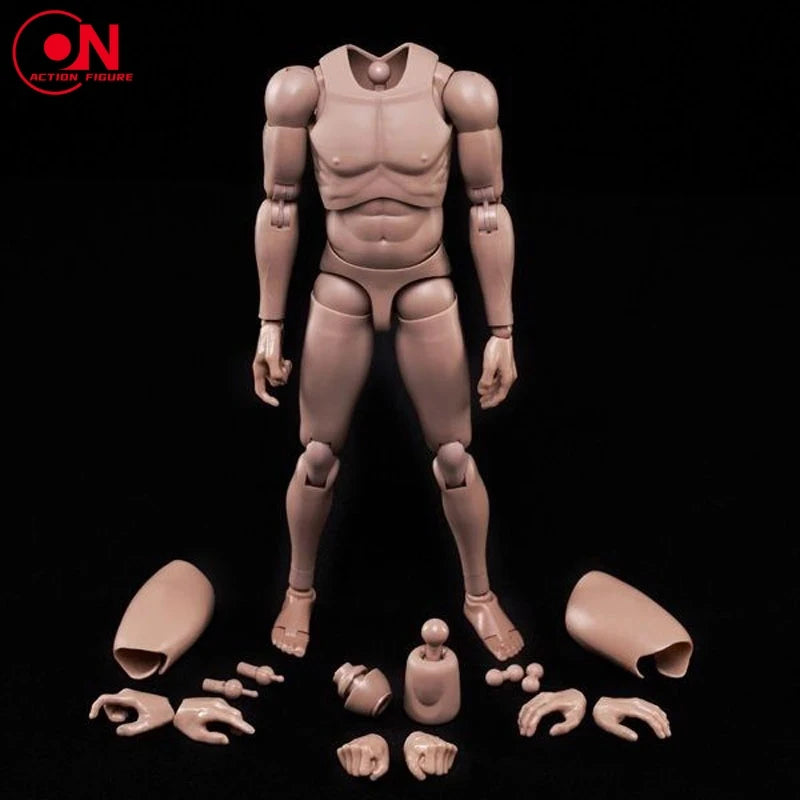 1/6  Europe Skin Male Action Figure Doll 12'' Super Flexible Joint Body - Shop owners choice