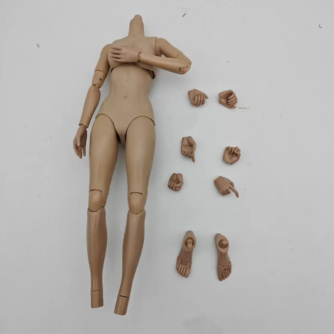 Head Hunters DNA Female Body Suntan/Pale Color Super flexible Body Model With Joints.
