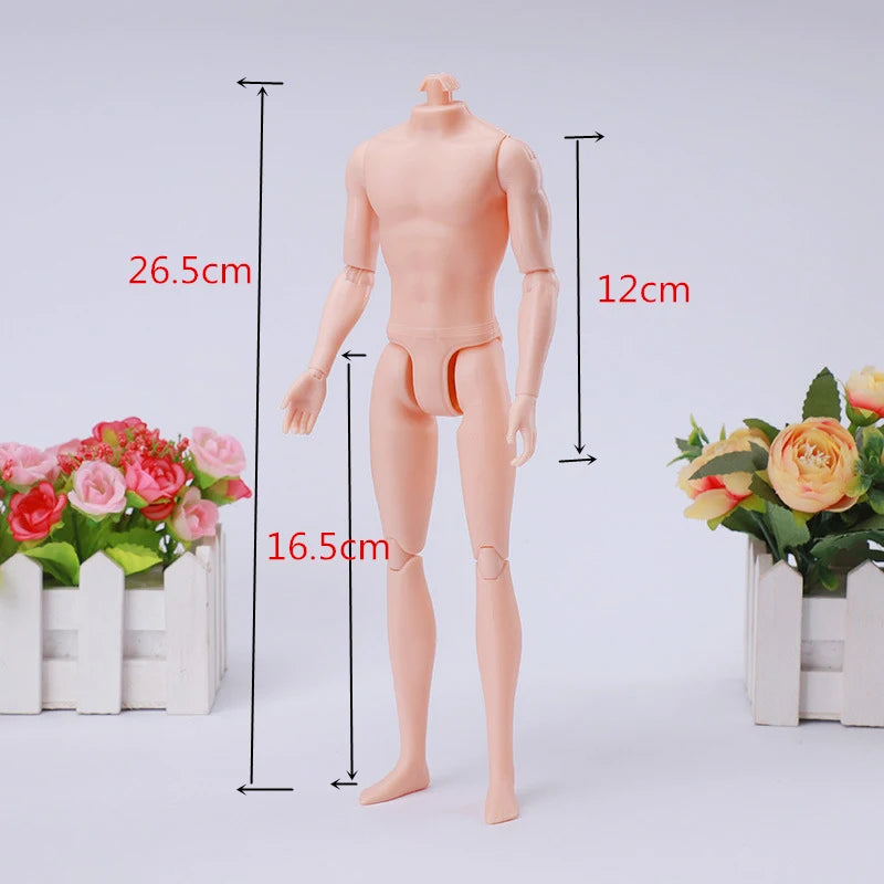 Multi Joints Movable Male doll 1/6